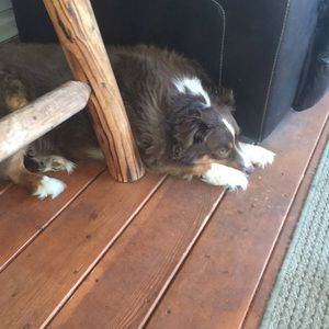 Meet your Posher, Marion